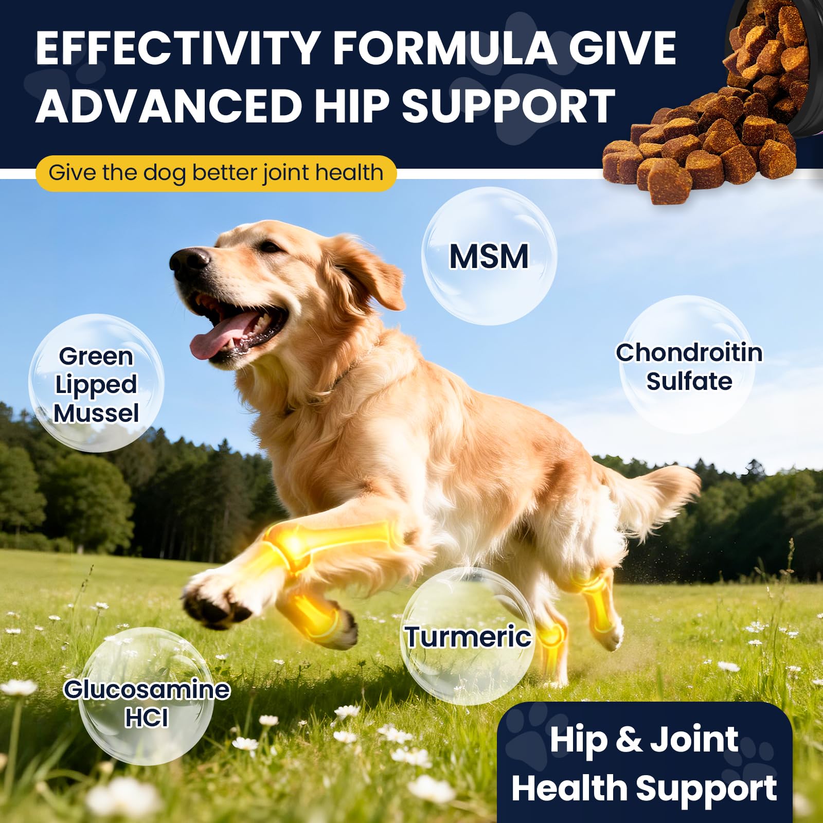 NHWHDJH soutien-immunite-chien – vitalité et défense naturelle
