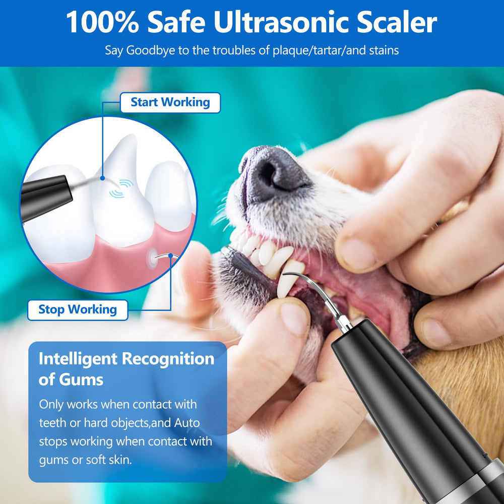 Ni-SHEN Dog Plaque Remover kit dentaire complet, nettoyage efficace du tartre