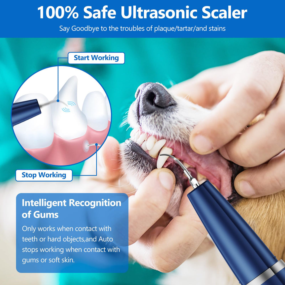 Ni-SHEN nettoyant dents ultrasonique pour chats, usage sûr et agréable.