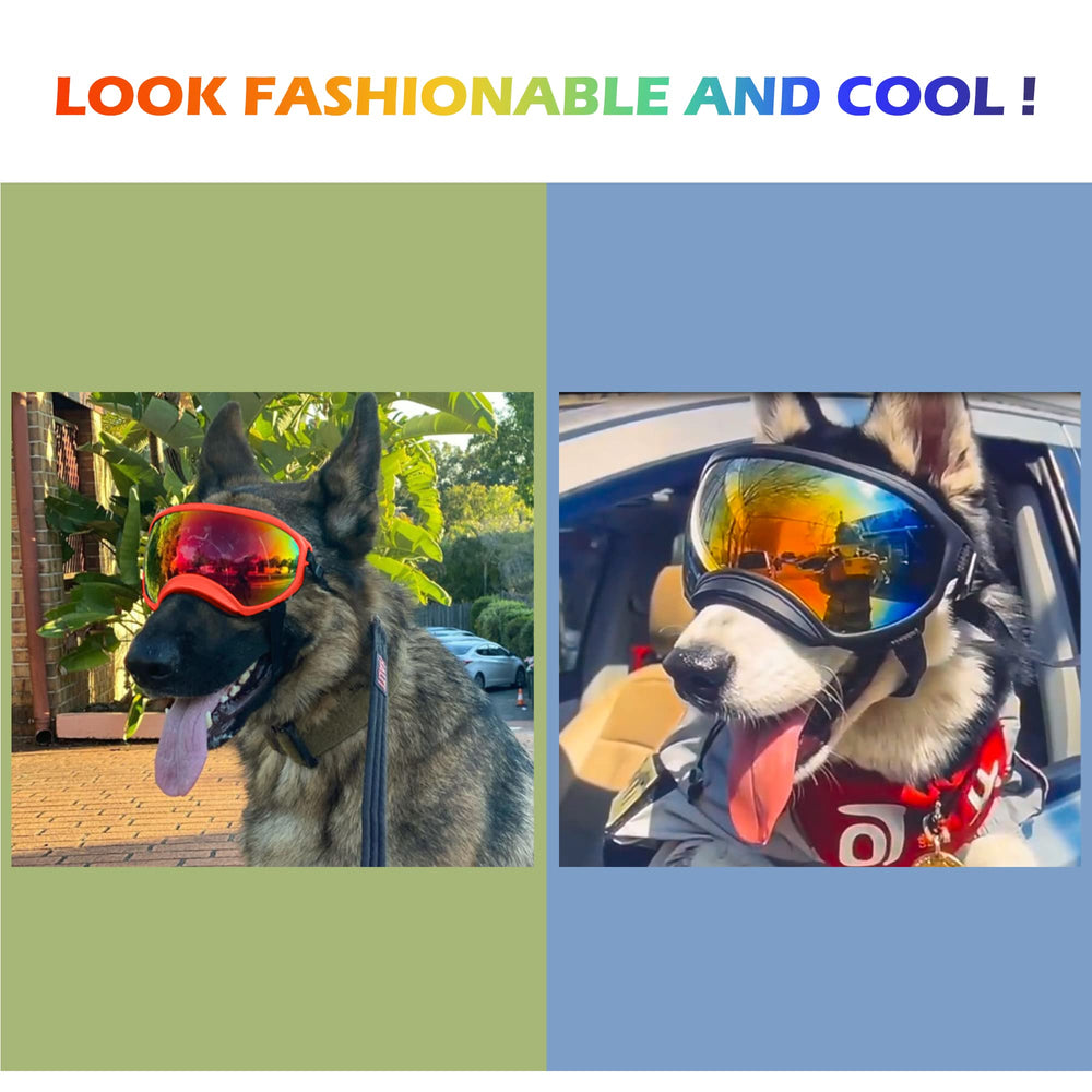 NICERINC PET lunettes-chien-emballage: emballage soigné et prêt à offrir.
