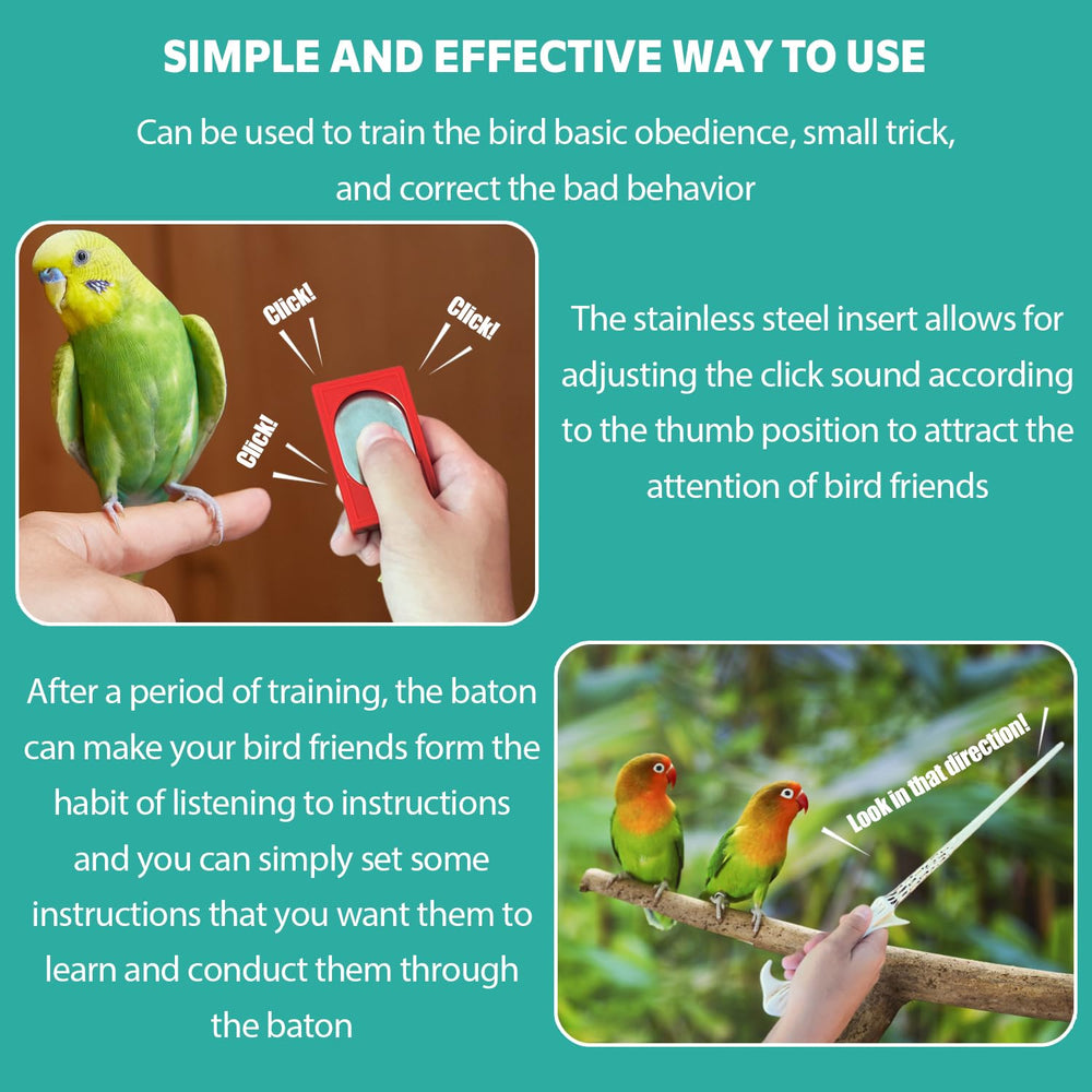 NICERINC PET conseils-entrainement, sessions courtes et régulières pour garder l'oiseau engagé.
