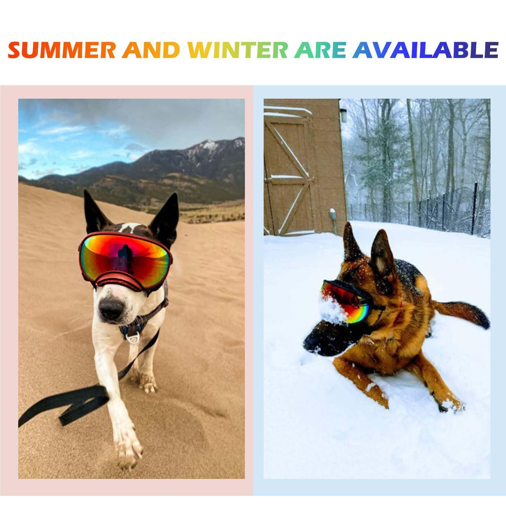 NICERINC PET étui cadeau inclus pour lunettes de chien