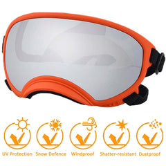 Lunettes NICERINC PET pour chien, bande élastique réglable assurant un maintien sûr.