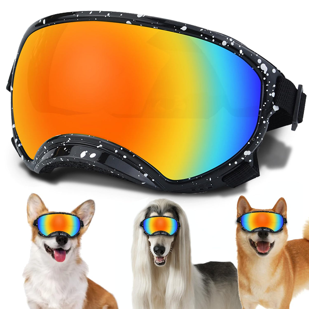 Lunettes NICERINC PET pour chien moyen, courbure extérieure et protection UV.