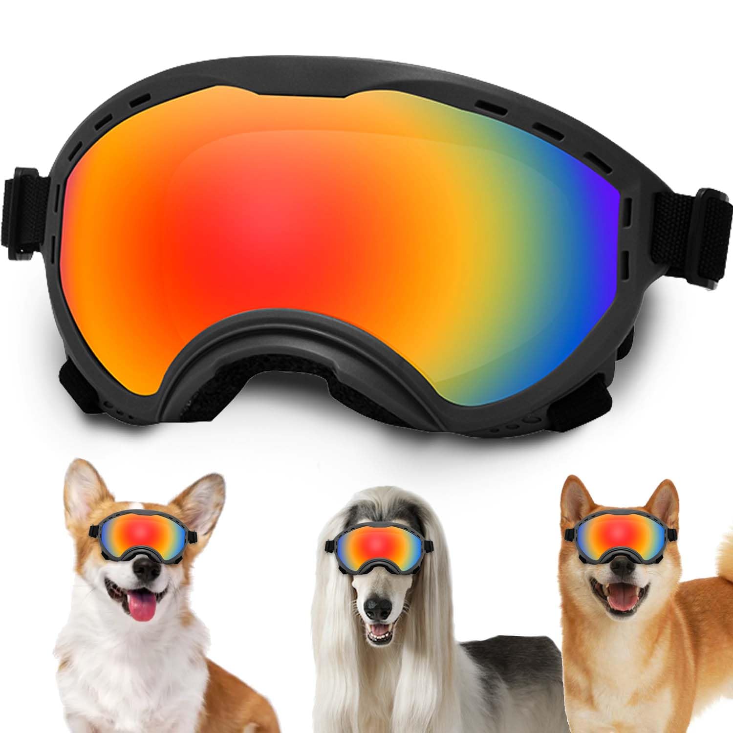 Lunettes NICERINC PET UV400 pour chien protègent les yeux en extérieur.