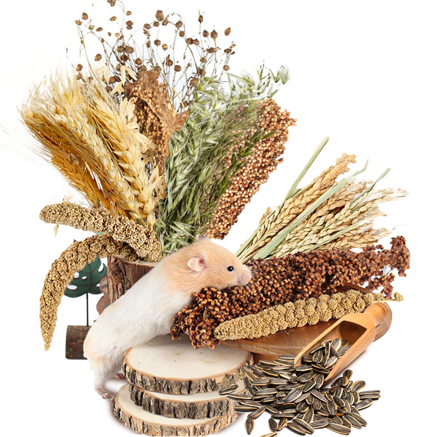 NICERINC PET – Oreille de grain décor fleurs et herbes, stimulant visuel pour le hamster.