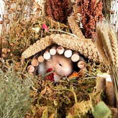 NICERINC PET – Décoration de cage en grains naturels, ajout de couleur bienvenue.