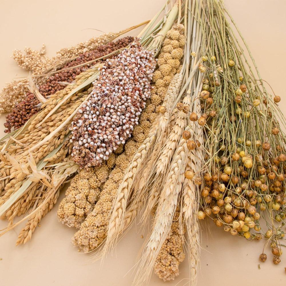 NICERINC PET – Ensemble de grains naturels prêt à disposer dans l'habitat.