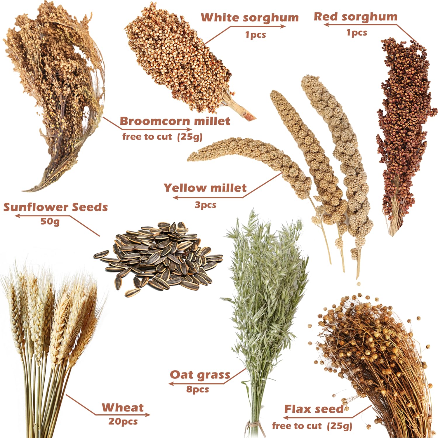 NICERINC PET – Déco d'habitat avec grains naturels, couleur et ambiance naturelle.