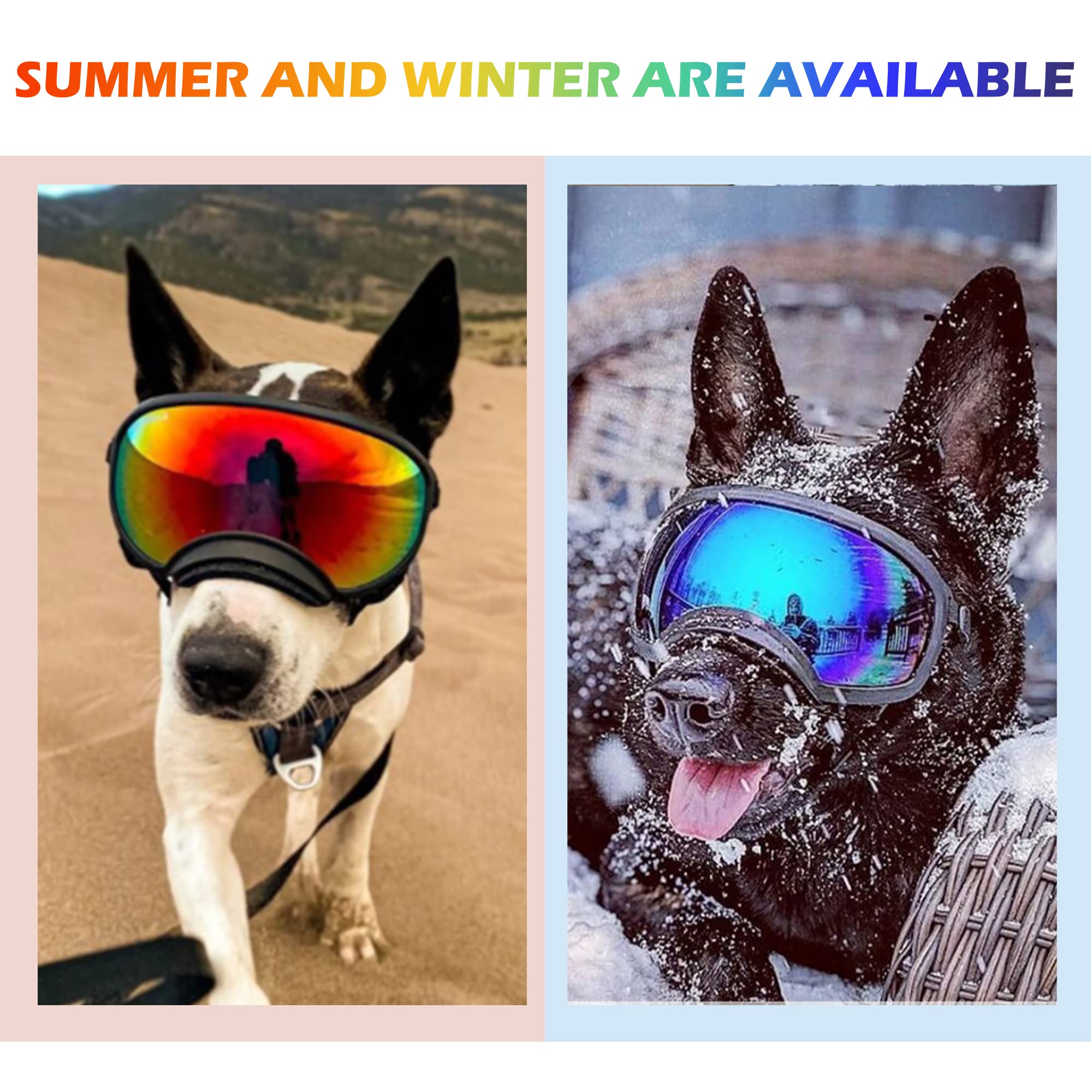 NICERINC PET emballage raffiné, parfait comme cadeau pour propriétaires de chiens.
