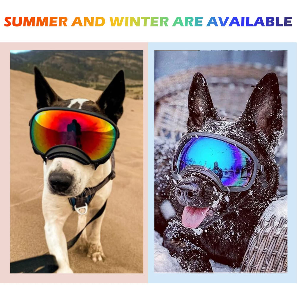 NICERINC PET emballage raffiné, parfait comme cadeau pour propriétaires de chiens.