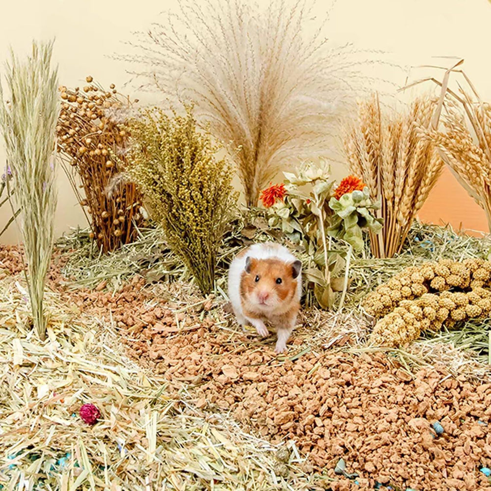 NICERINC PET – Sachet refermable et conseils de stockage à l'abri de la lumière.