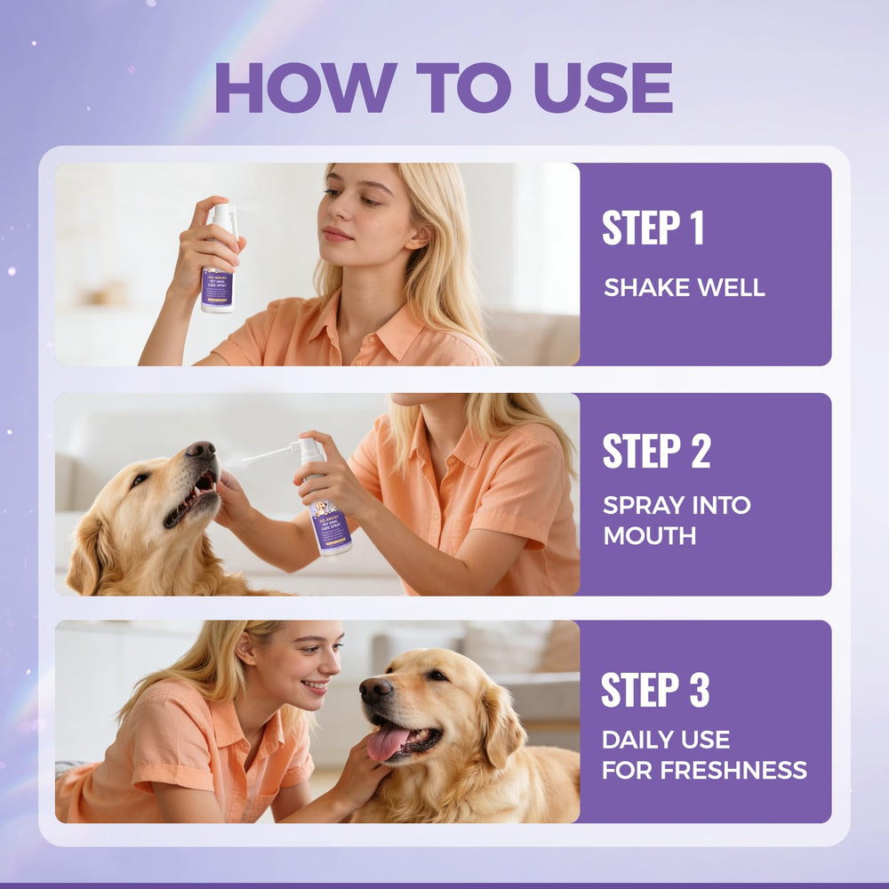 Nichalous Furaqua: hygiène bucco-dentaire simple pour chien et chat.