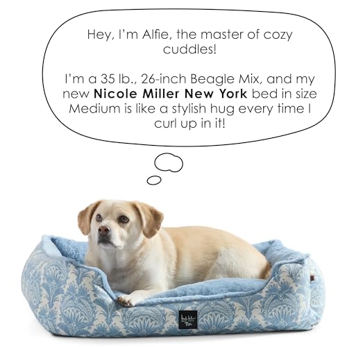 Nicole Miller New York Pet Mod Damask Plushy Bolster Bed facile coordonner tapis interieur