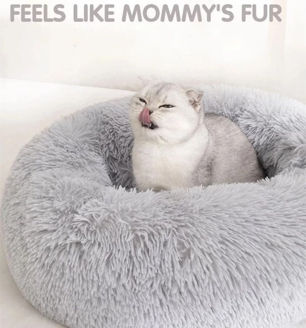Fond imperméable du lit chat protégé contre l’humidité