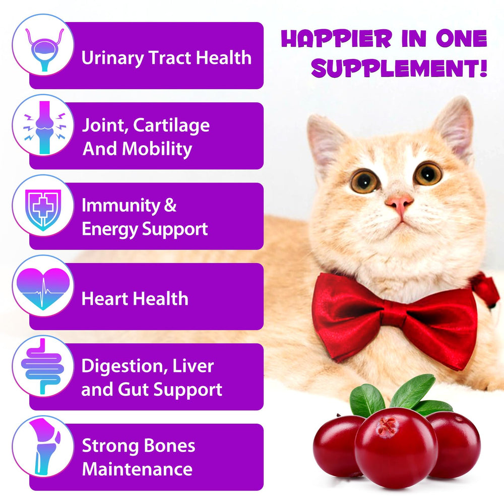 NIFEISHI gouttes pour chat, digestion et métabolisme améliorés