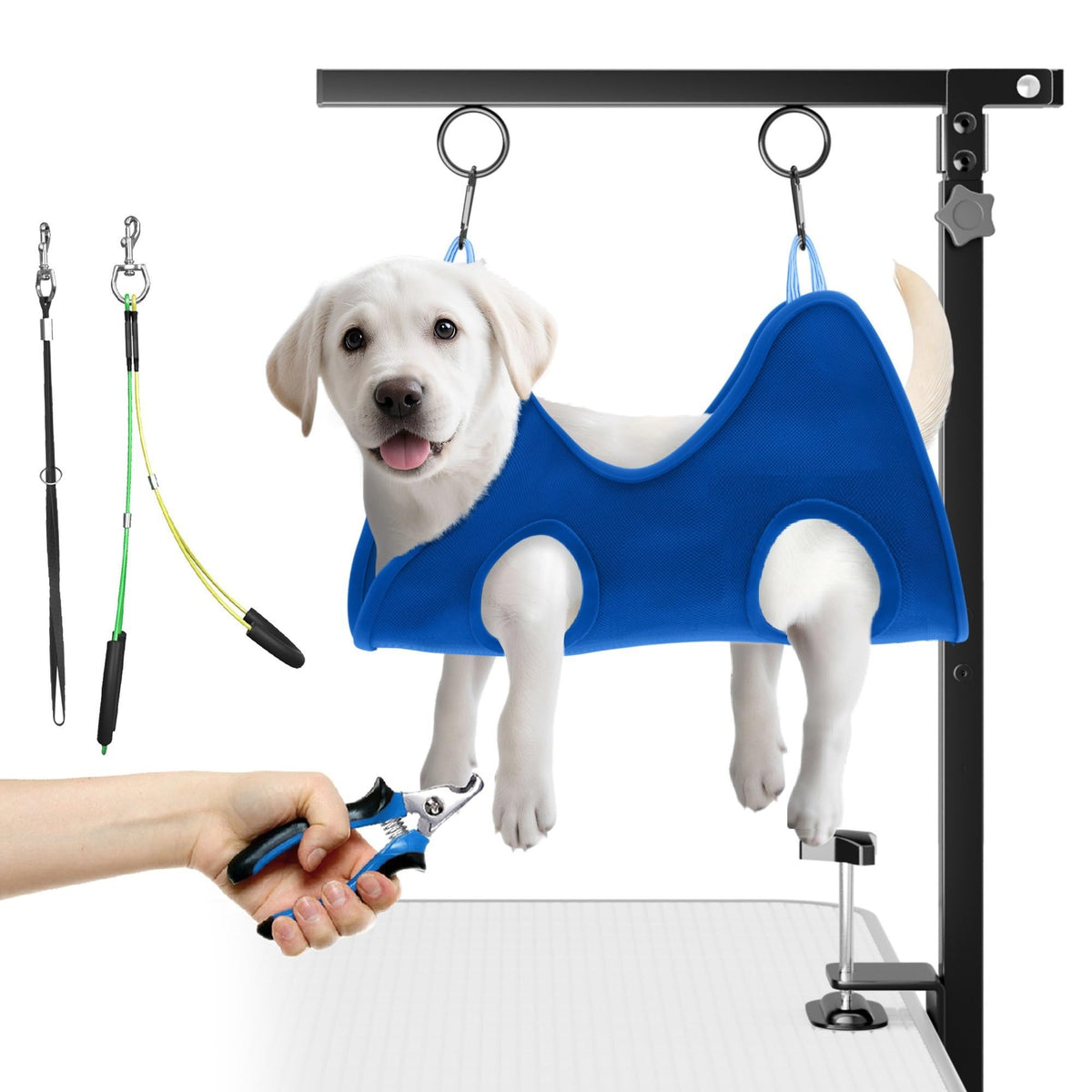 Niffgaff bras de toilettage réglable pour chiens, pratique et sûr.