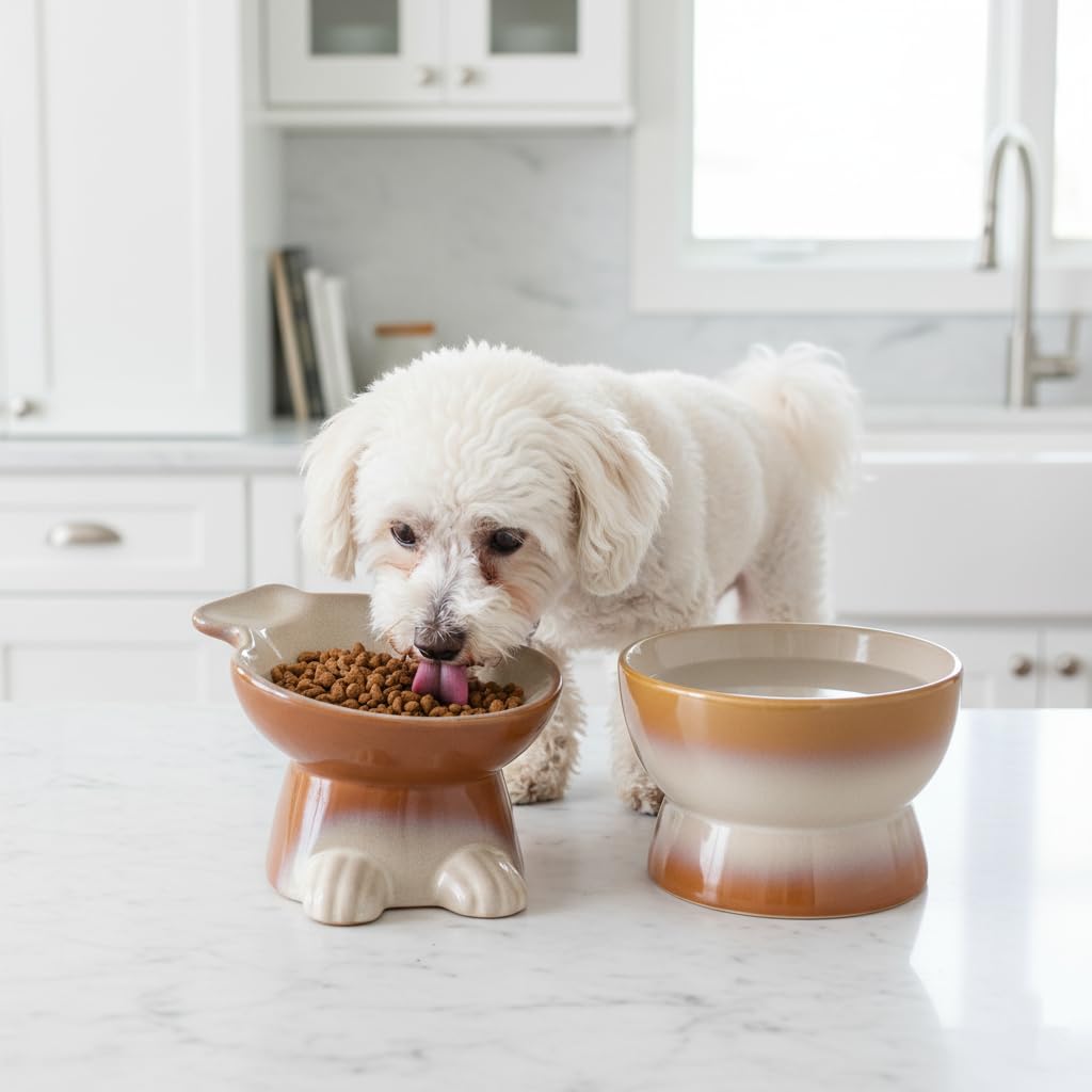 Nihow design moderne assiette chien élevée, couleur marron qui s'accorde à la déco.