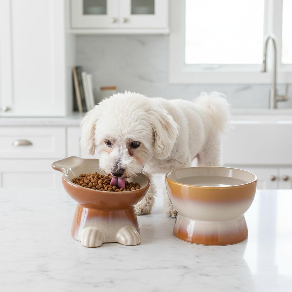 Nihow design moderne assiette chien élevée, couleur marron qui s'accorde à la déco.