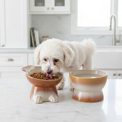 Nihow design moderne assiette chien élevée, couleur marron qui s'accorde à la déco.
