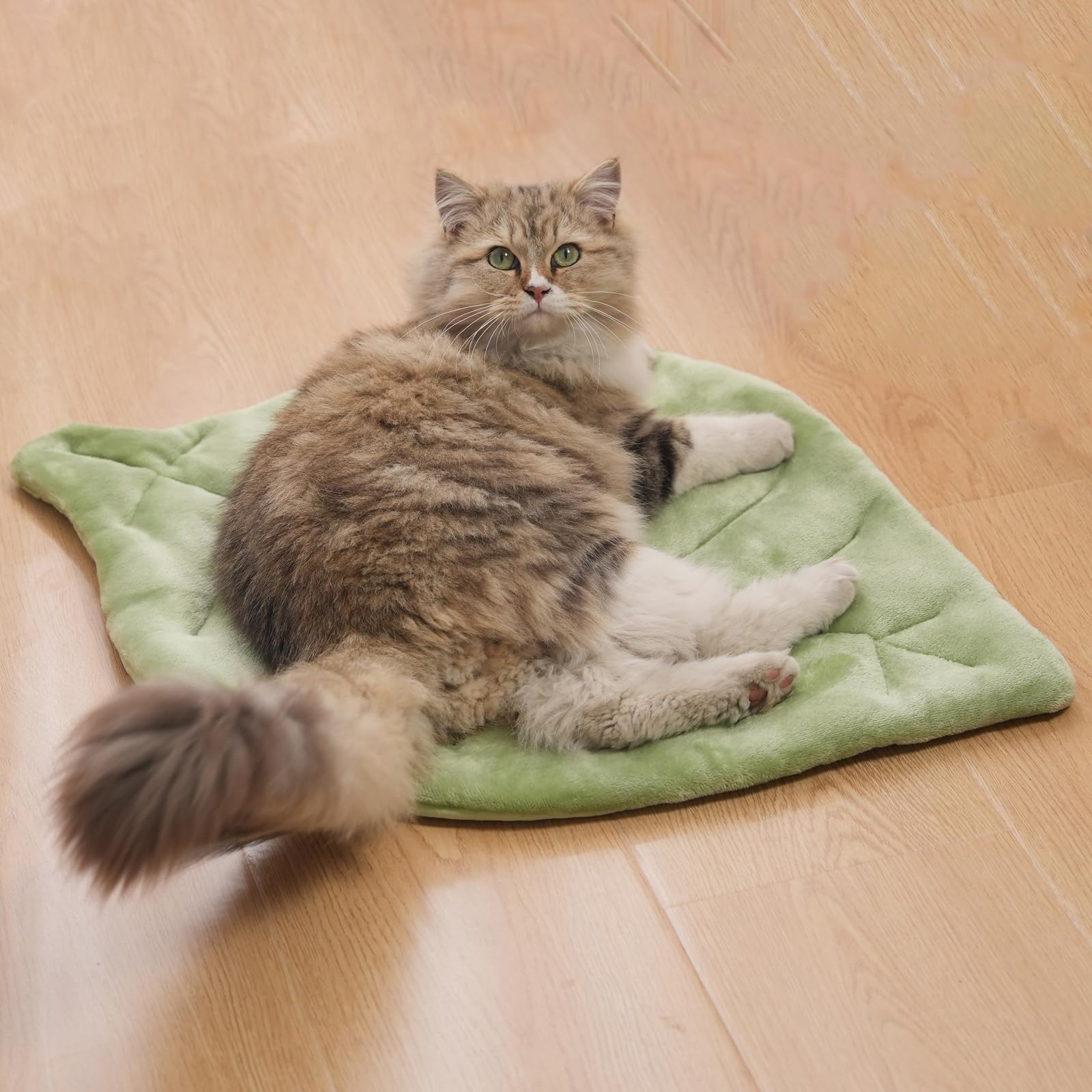 Nimorio feuille-chat chauffante pour des siestes chaudes et confortables.