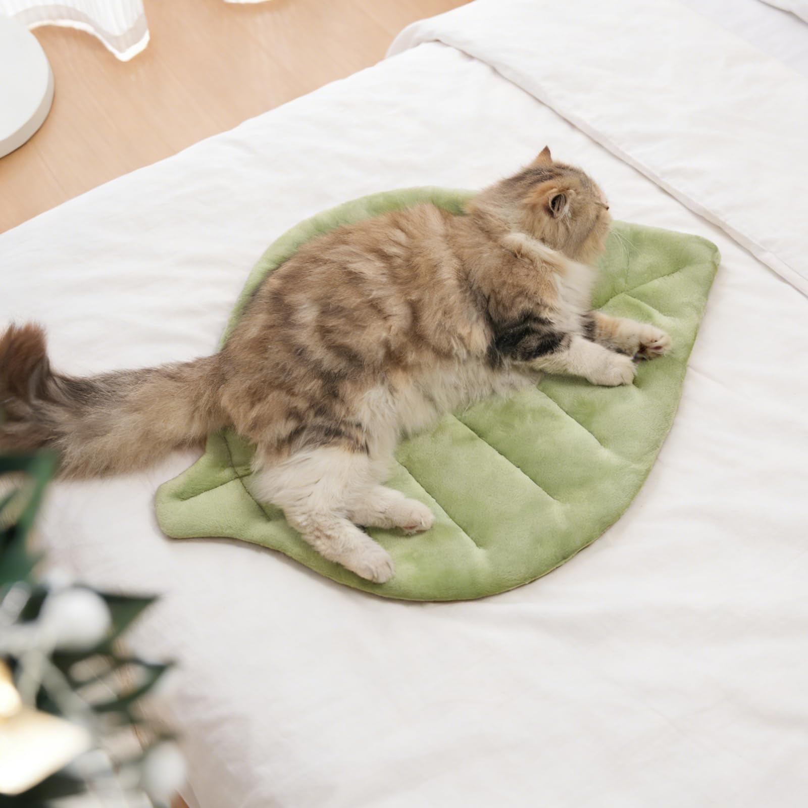Nimorio rembourrage PP chat, couchage plus moelleux et soutenant.