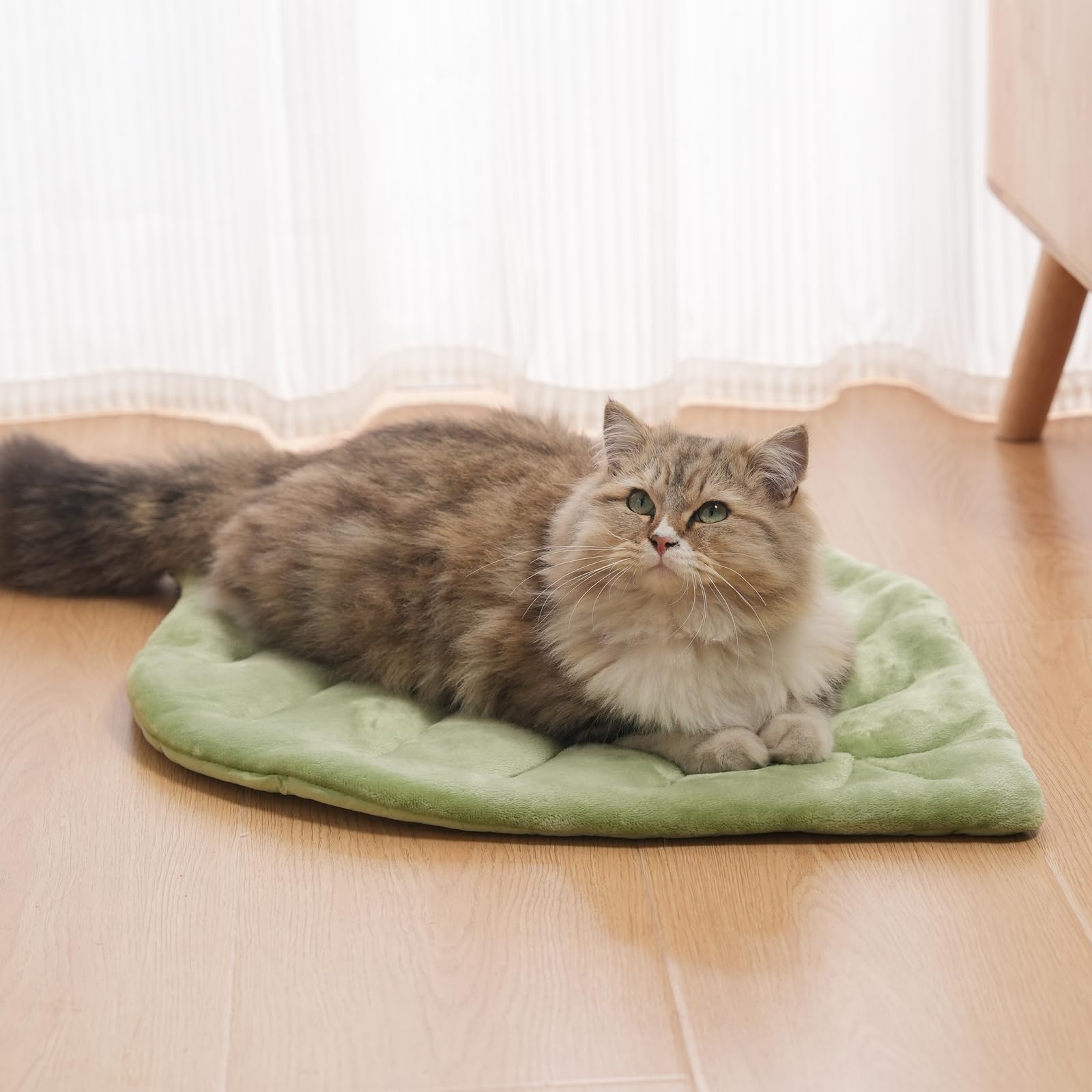 Nimorio tout-saison confort chat, adapté hiver et été.