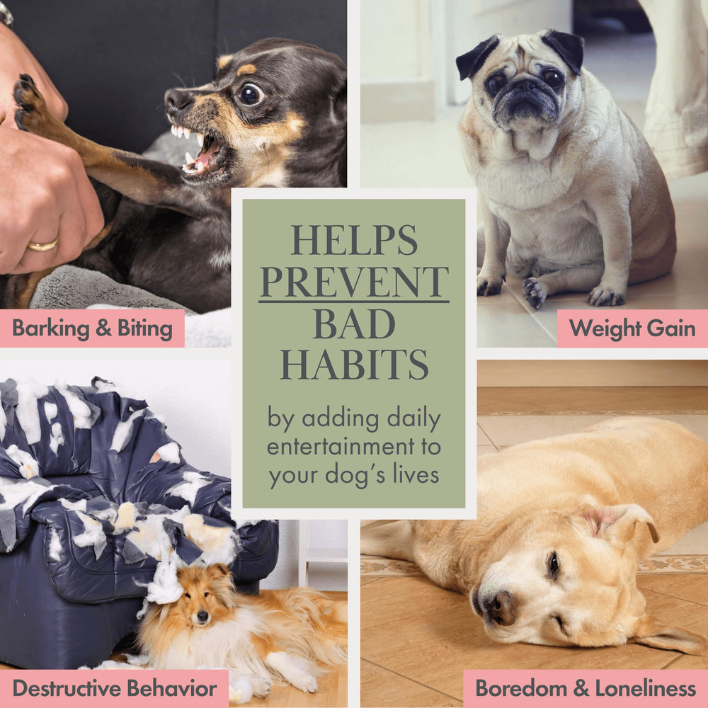Jouet Nina Woof coton bio concombre texture agréable et enrichissement mental