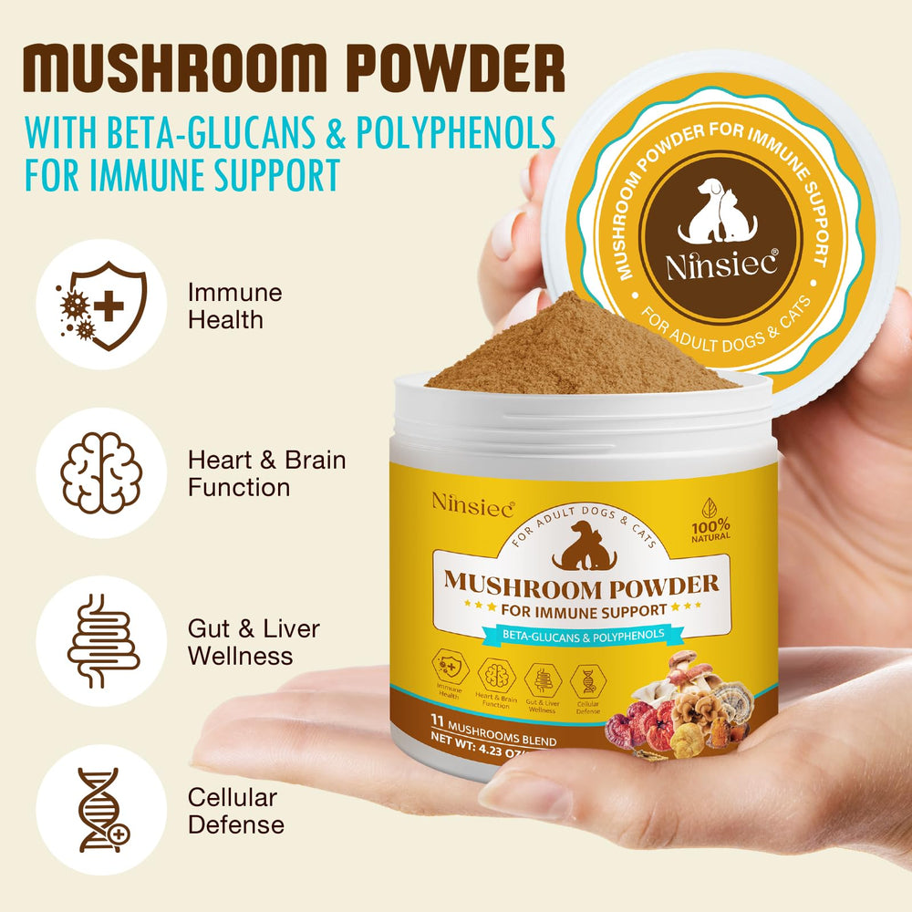 Poudre Ninsiec crinière de lion pour chiens, soutien articulaire et vitalité cognitive.