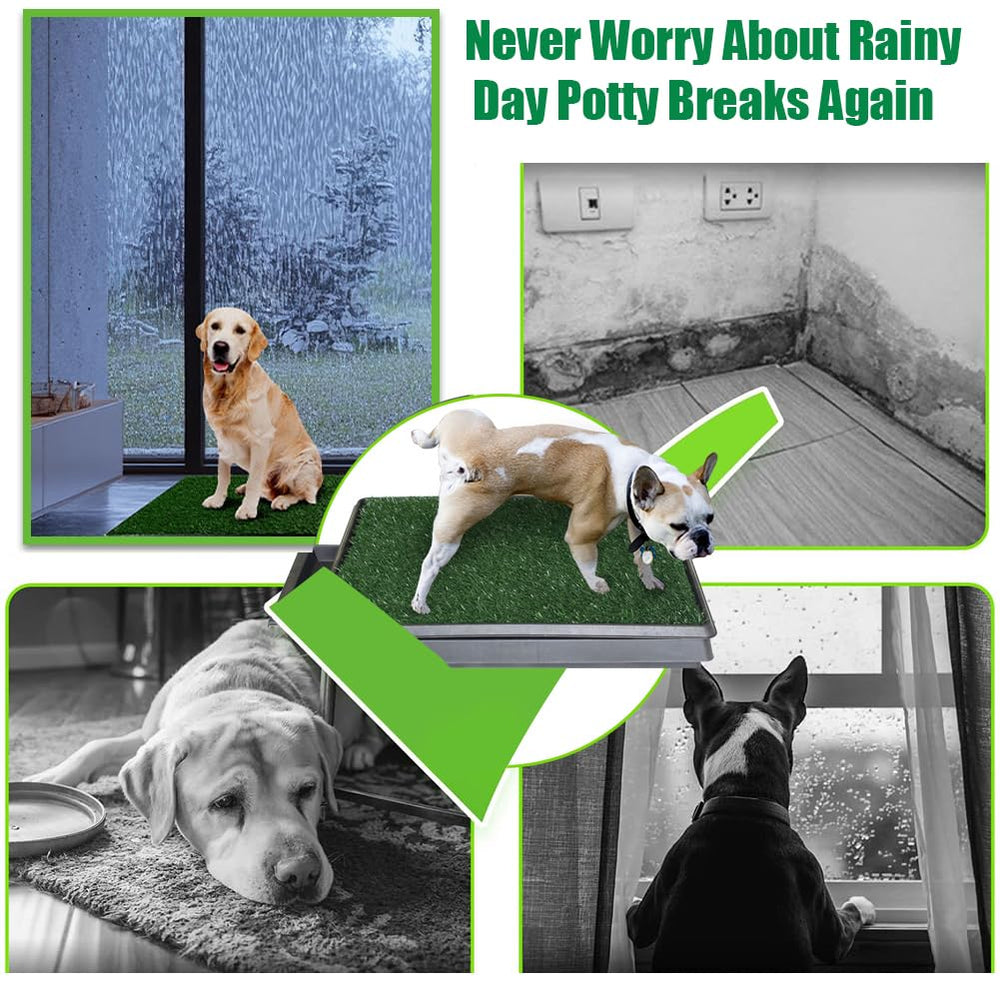 NINXANG Ensemble potty chien, herbe artificielle pratique