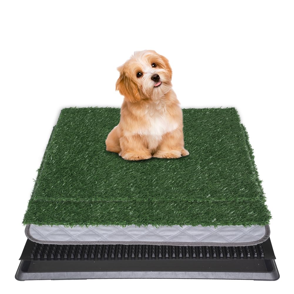 NINXANG Tapis-potty avec herbe artificielle, facilité d’entraînement en intérieur