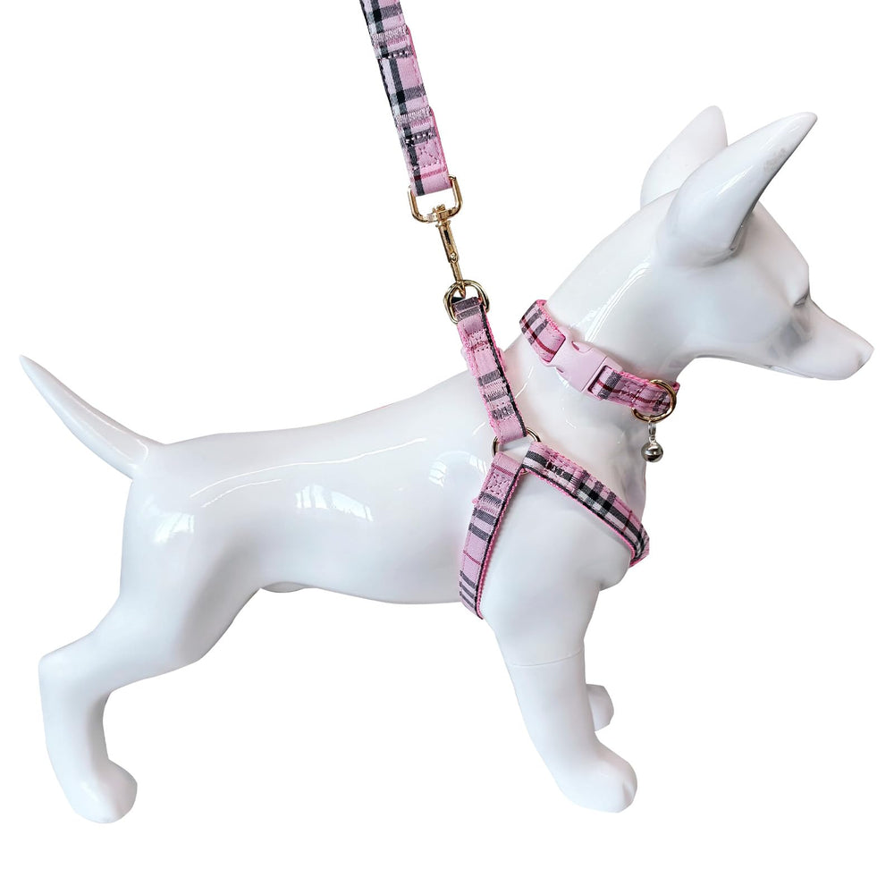 Ensemble harnais-collier-laisse plaid NISIYE pour sorties quotidiennes