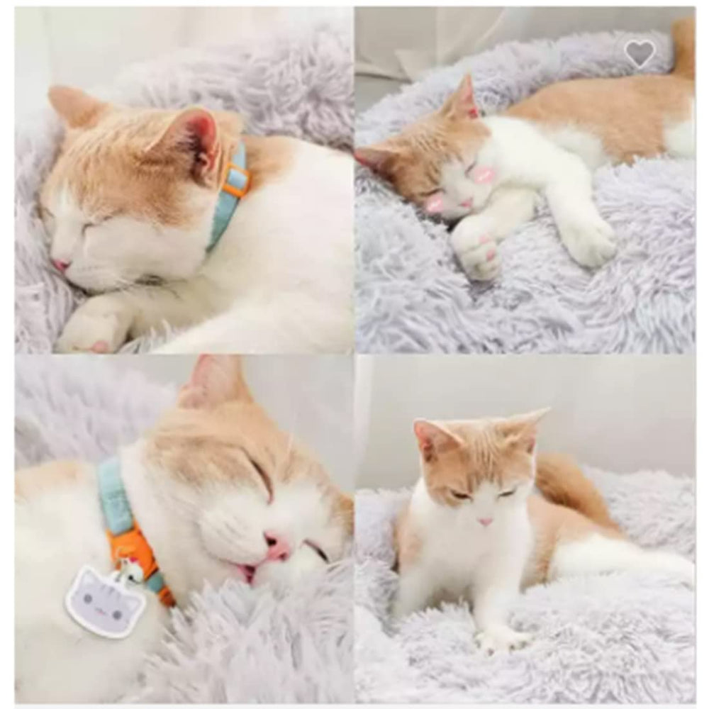 Nisrada tailles variées pour chats et petits chiens en voyage.
