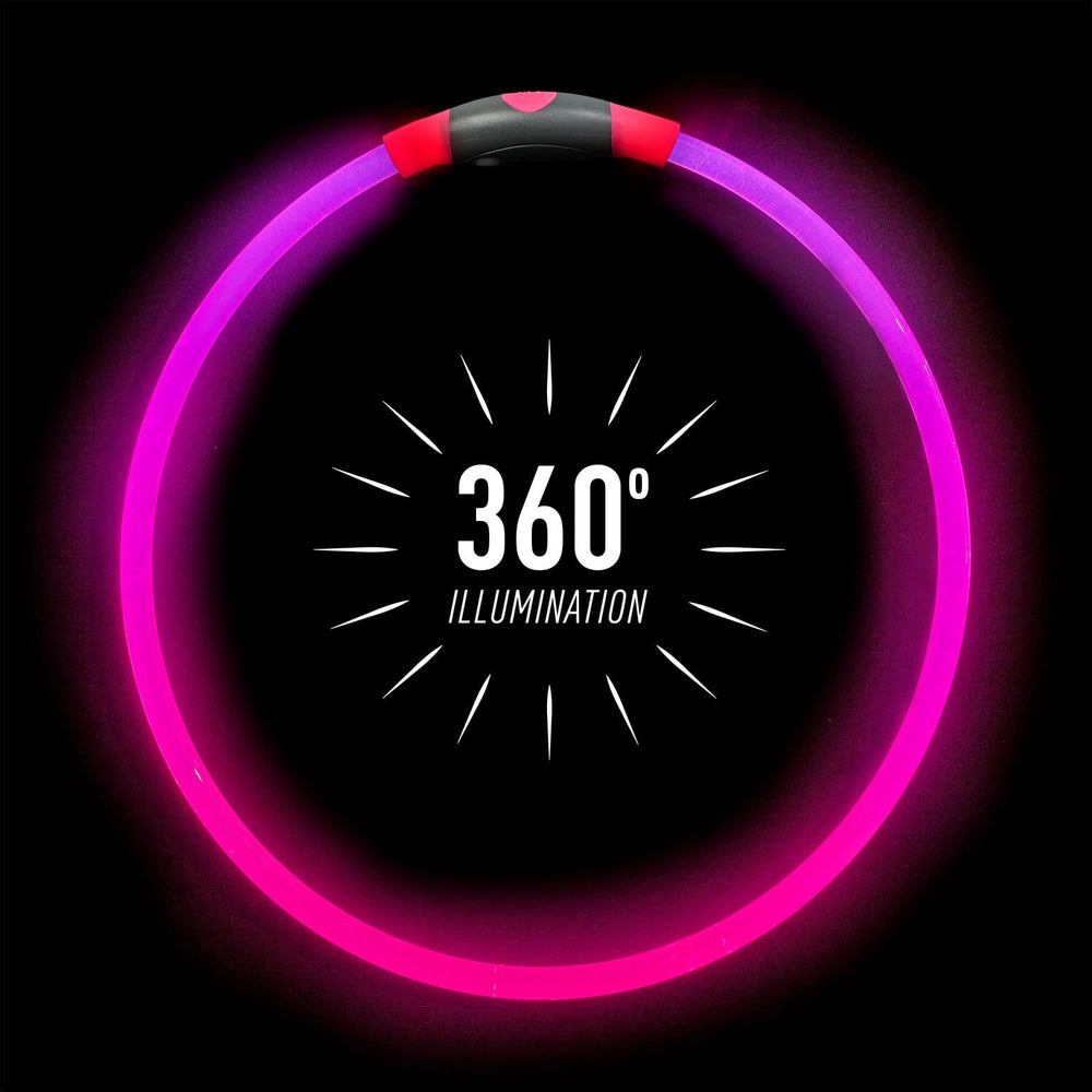 Gros plan sur la LED du collier NiteHowl et sa lumière