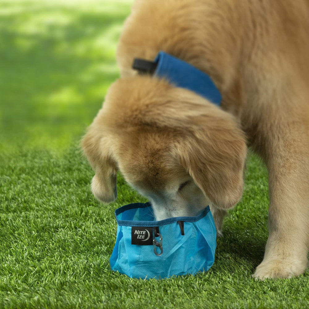 Bol pliable RadDog bleu posé sur un rebord lors d une pause