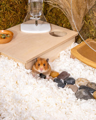 Niteangel Aspen litière papier – hamsters creusent et explorent des tunnels.