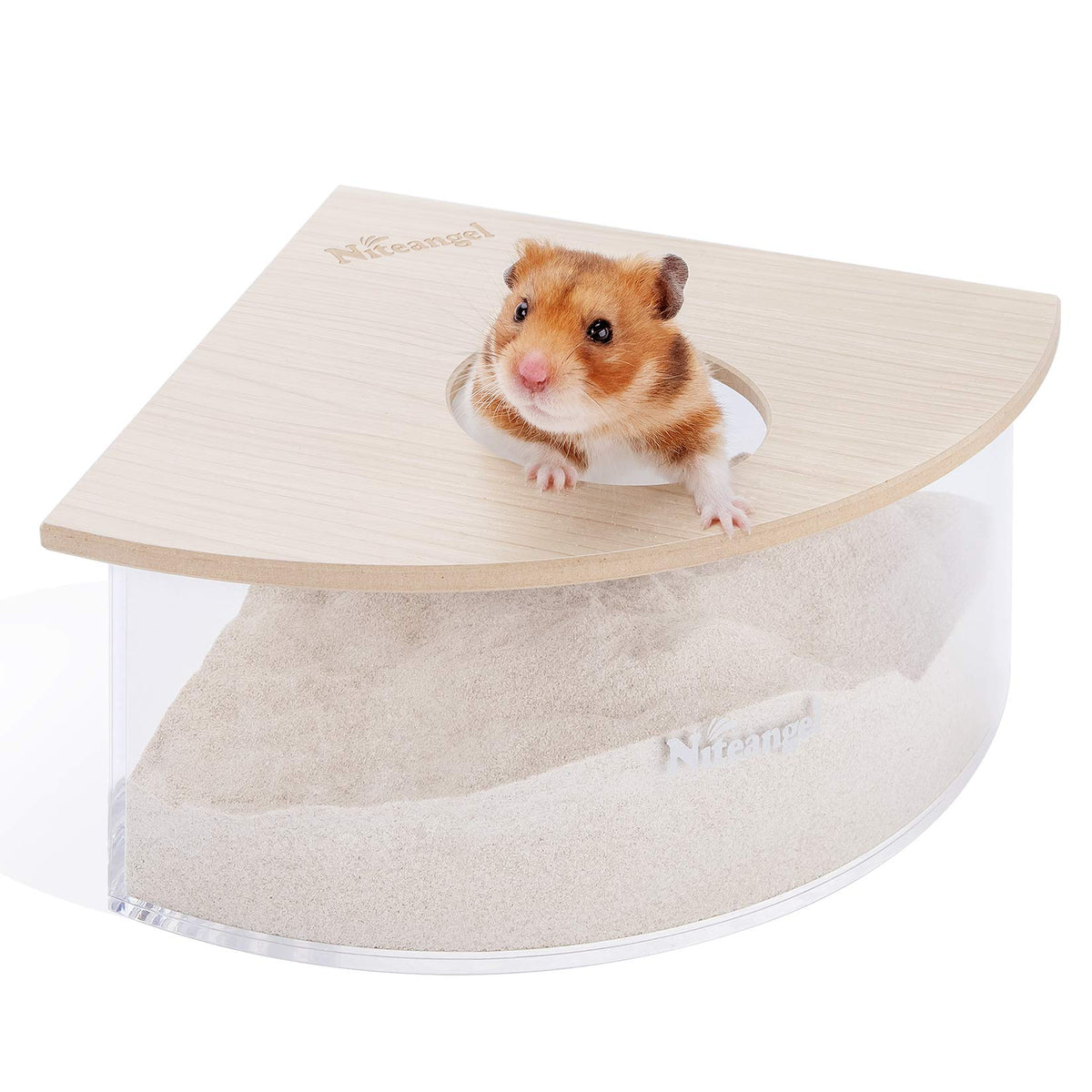 Niteangel-bain-de-sable-triangle-burlywood, vue frontale avec couvercle translucide pour observer l’activité.
