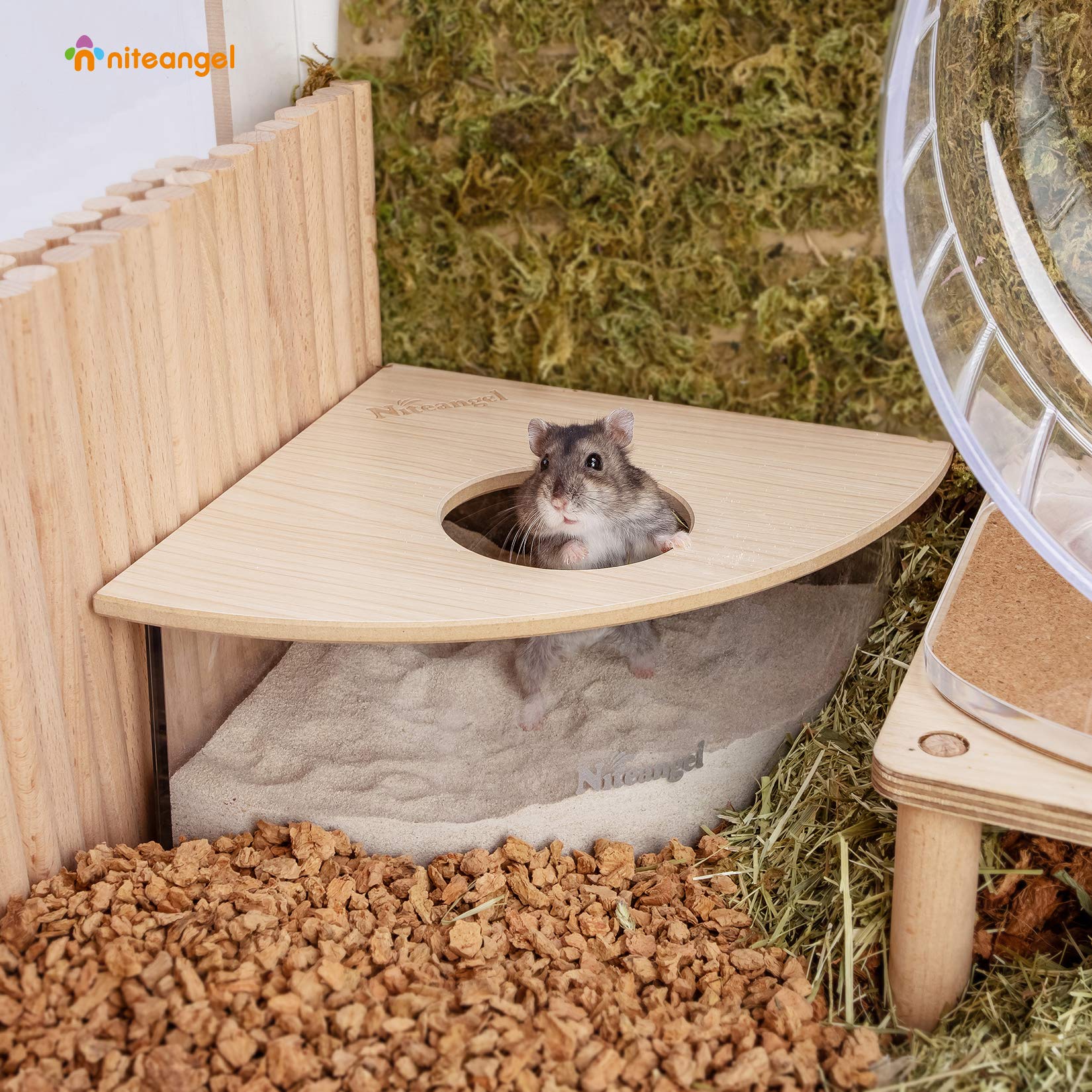 Niteangel-bain-de-sable-triangle-burlywood, emplacement dans un coin de cage facile.