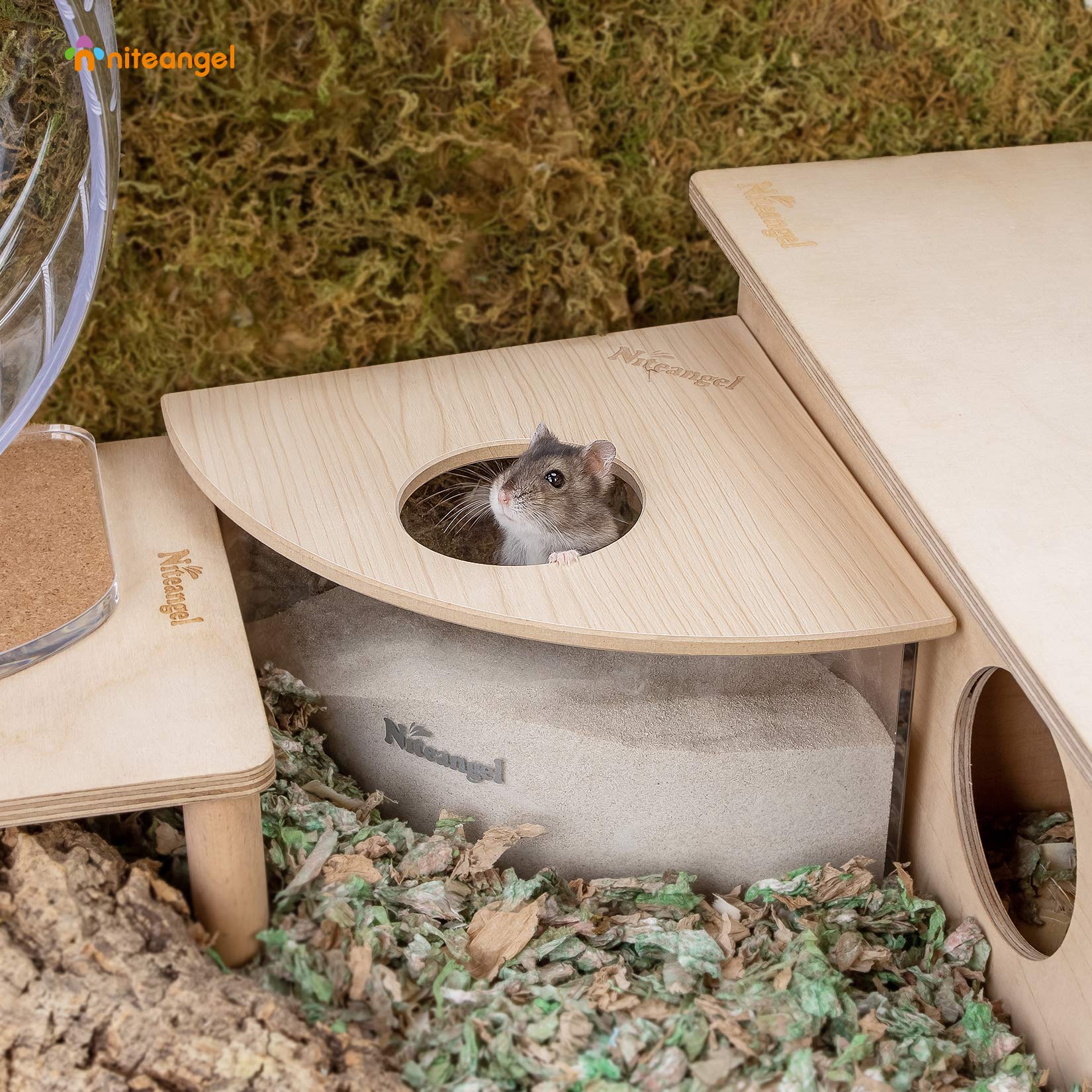 Niteangel-bain-de-sable-triangle-burlywood, entrée diamètre visible pour hamster.