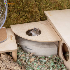 Niteangel-bain-de-sable-triangle-burlywood, entrée diamètre visible pour hamster.