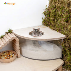 Niteangel bain-de-sable petits-animaux transparent — visibilité accrue sur les explorations dans le sable.