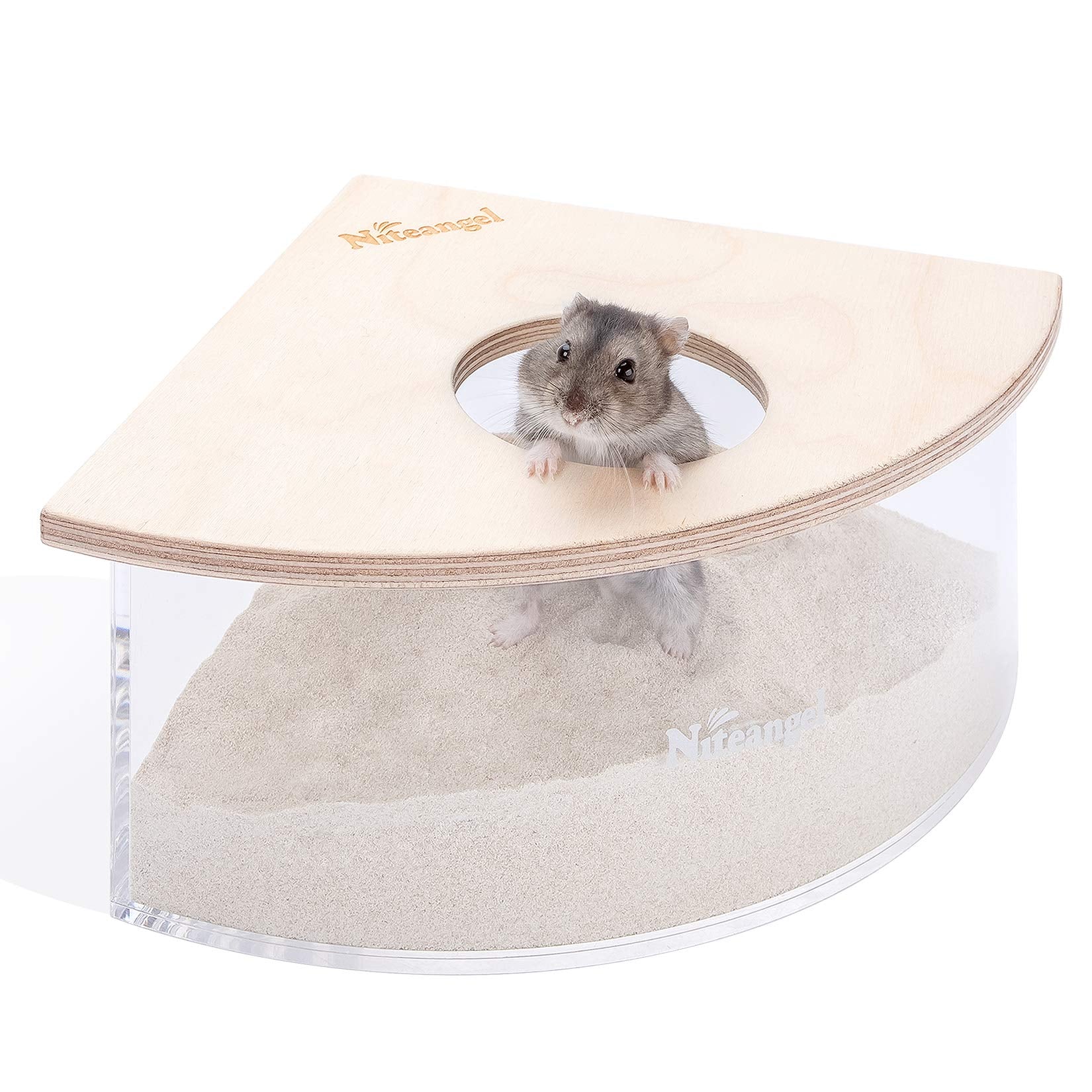 Niteangel bain-de-sable triangle en acrylique — vue claire pour observer les hamsters qui jouent.