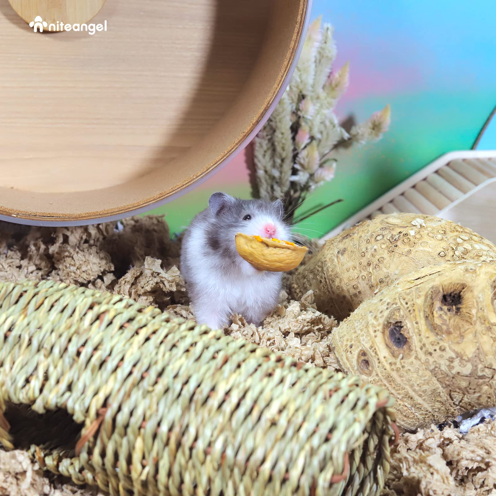 Niteangel bien-etre-rongeur interactions renforcent le lien avec votre animal