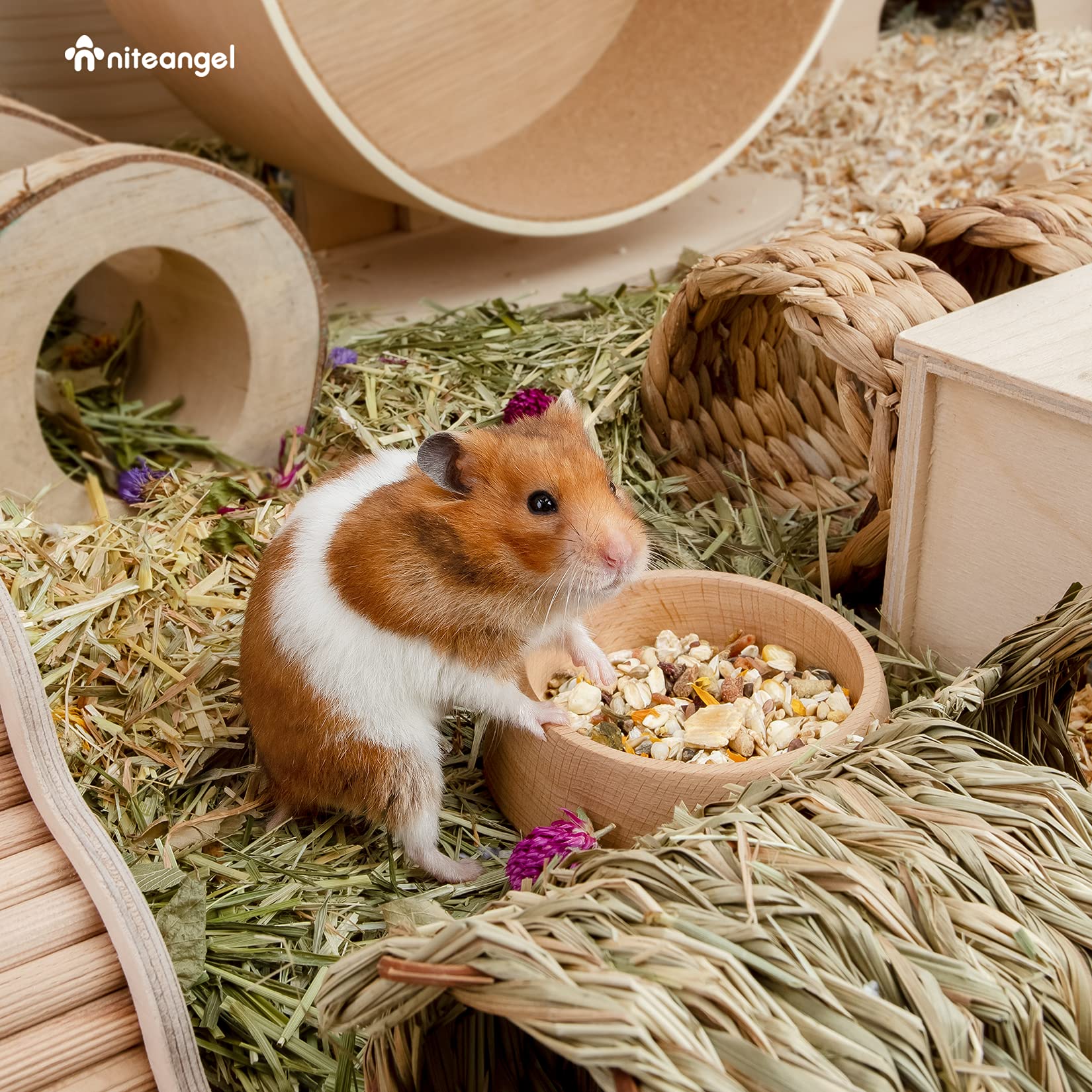 Base stable et design charmant du bol Niteangel pour petits rongeurs.