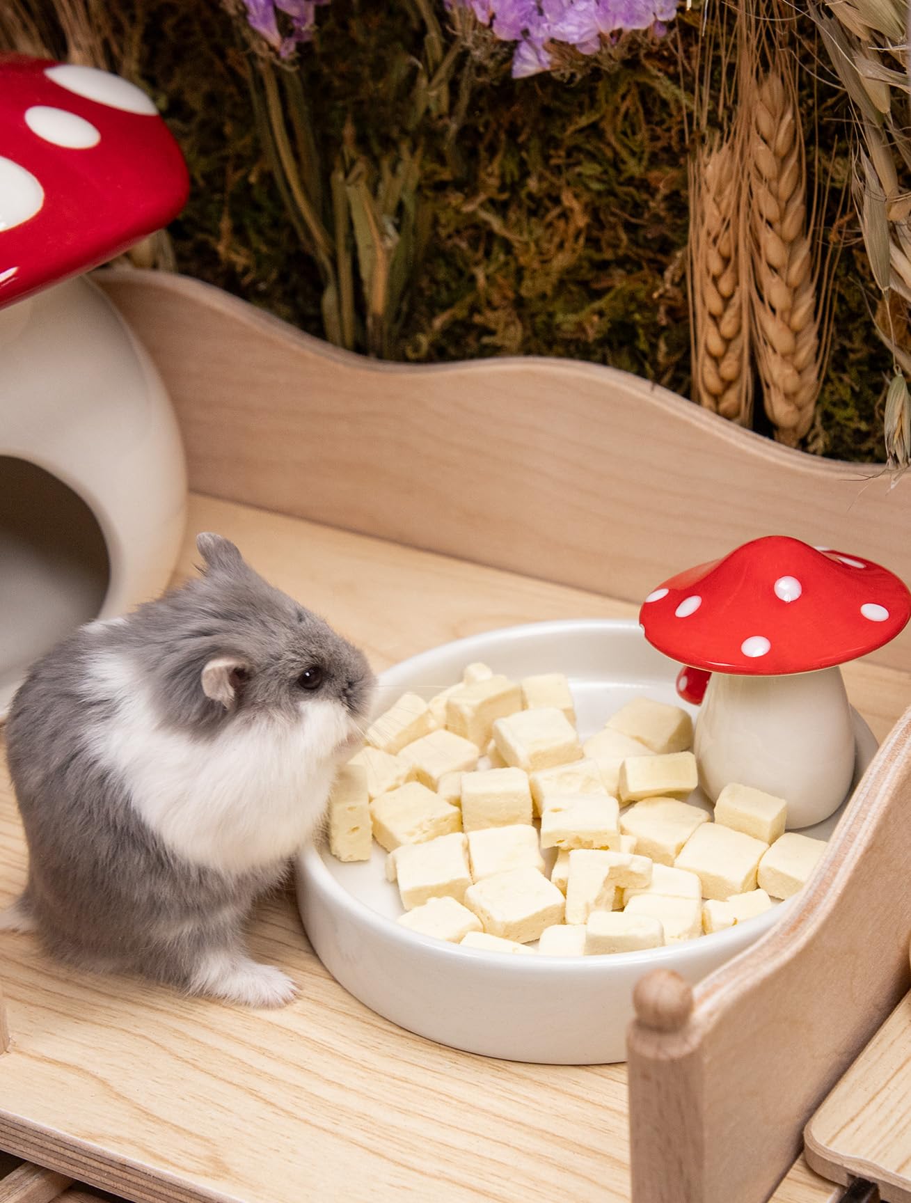 Bol Niteangel résistant aux morsures, durable pour hamsters actifs