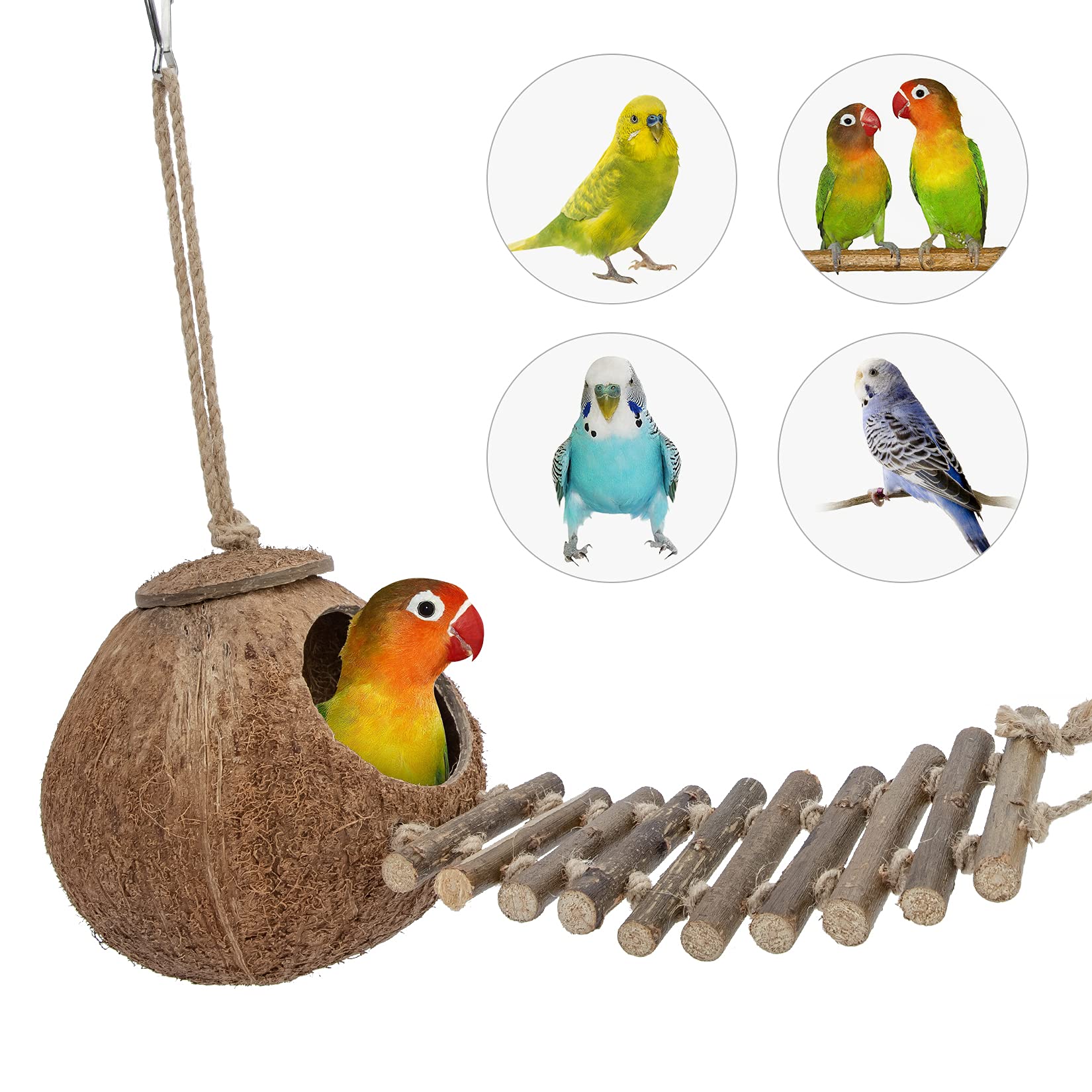 Niteangel branche Hevea et coquille coco, pour grignoter et explorer.