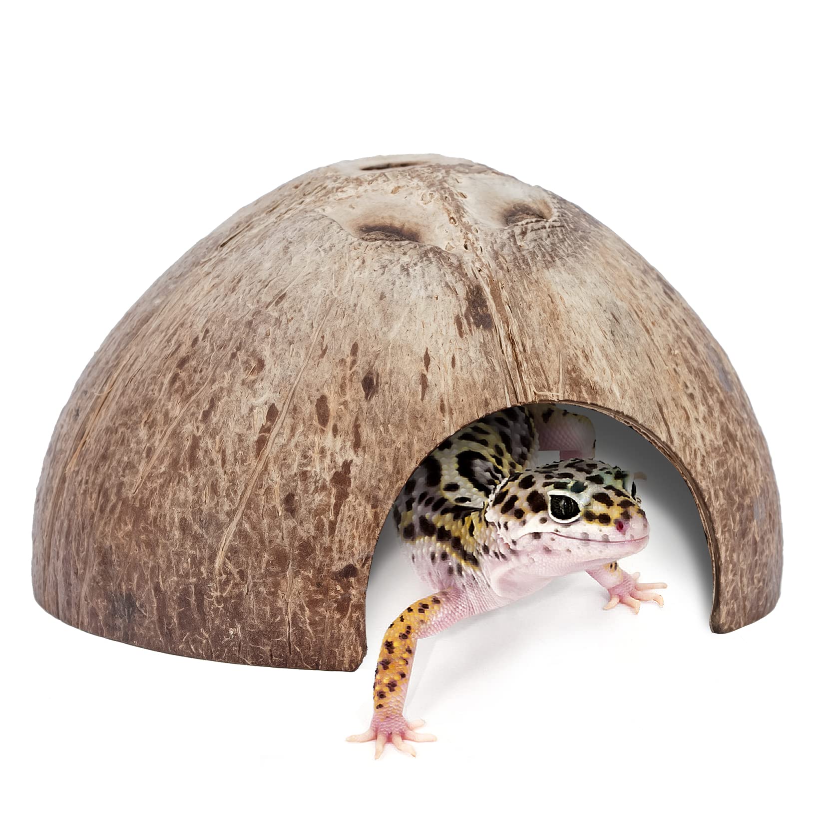 Niteangel cache-reptile coquille coco 2-pack, refuge naturel pour reptiles.
