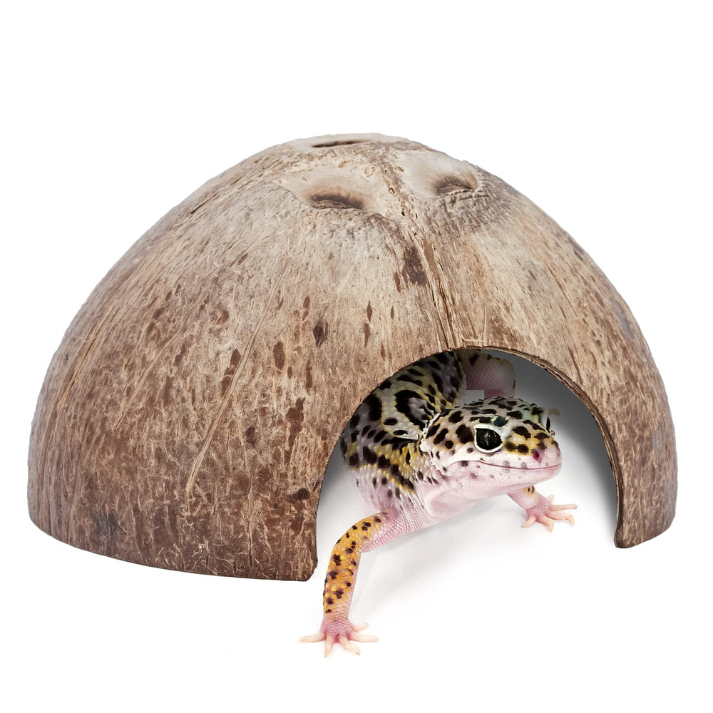 Niteangel cache-reptile coquille coco 2-pack, refuge naturel pour reptiles.