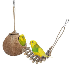 Niteangel cachette naturelle en noix de coco avec échelle, idéale pour l'enrichissement.