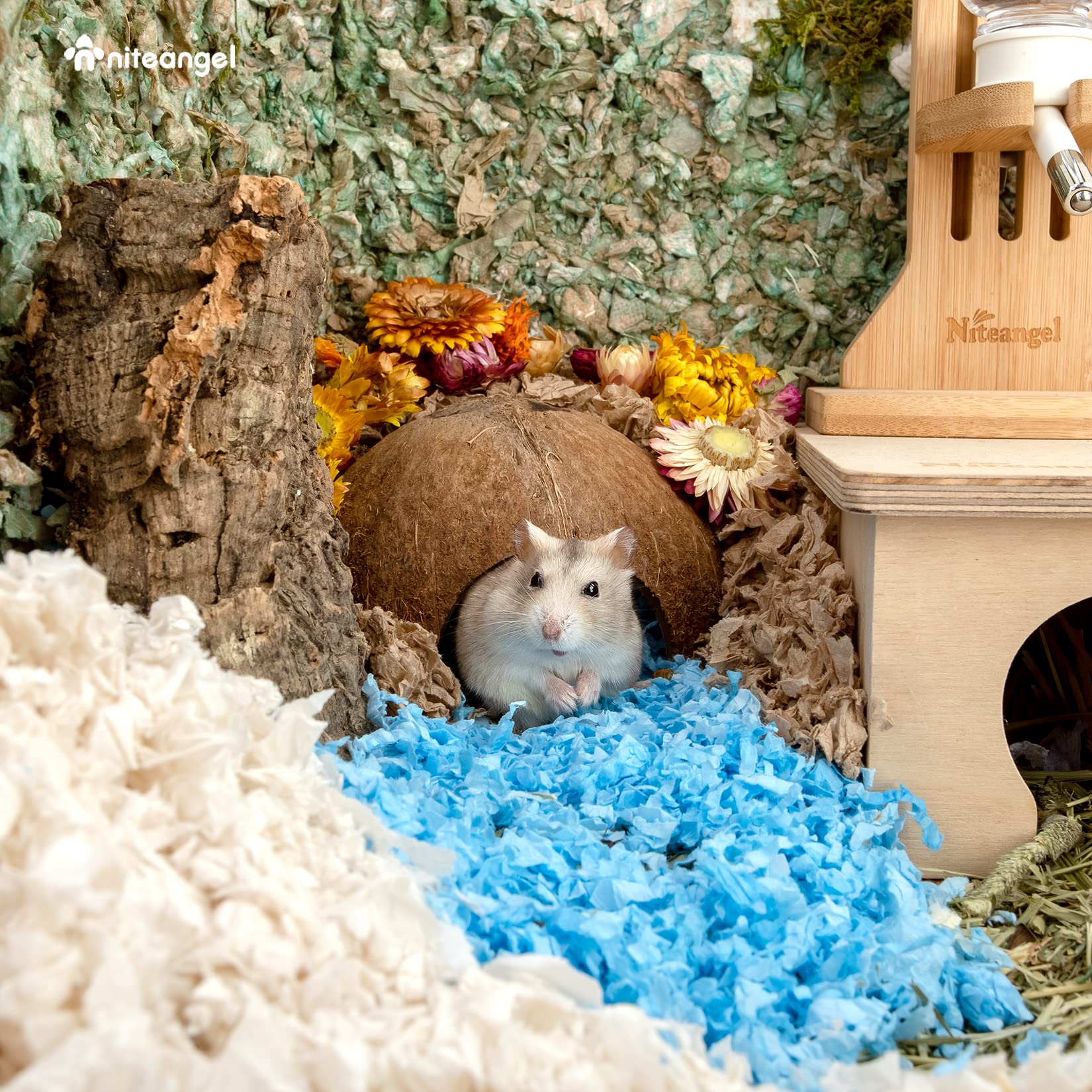 Cachette Niteangel en noix de coco, adaptée aux environnements humides du terrarium.